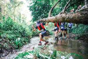 BIB: 
                            <button type="button" onclick="openModal(25474449)" class="btn btn-primary btn-sm float-right btn-popup" data-toggle="modal" data-target=".modal-high-quality">
                        <i class="fas fa-shopping-cart"></i> Add to Cart
                    </button>
                                            <button type="button" onclick="isThisMe(25474449, true)" class="btn btn-success btn-sm float-right btn-popup btn-isme hidden" data-toggle="tooltip" data-placement="bottom" title="นี่คือรูปของคุณใช่ไหม คลิกที่นี่เพื่อเอาเข้าอัลบั้ม">
                        <i class="fas fa-plus"></i> Add to album
                    </button>
                    <button type="button" onclick="isThisMe(25474449, false)" class="btn btn-warning btn-sm float-right btn-popup btn-isnotme hidden">
                        <i class="fas fa-ban"></i> Remove from album
                    </button>